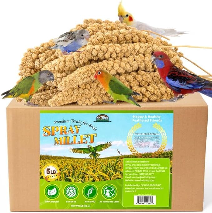 Spray Millet for Birds 5LB - All Natural Sun-Dried Healthy Treat, Millet Spray for Parakeets, Parrots, Lovebirds, Cockatiels Food, 100% Non-GMO High Protein Fresh Bird Seed