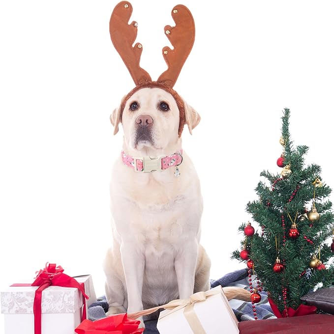 DOGWONG Cute Designer Blue Dog Collar - Adjustable Christmas Deer Collar for Small to Large Dogs