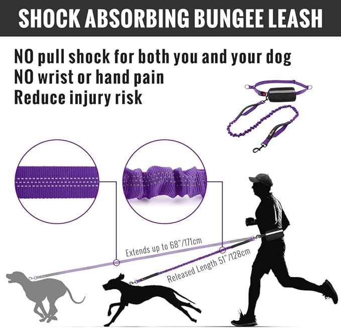 Plutus Pet Hands Free Dual Handle Retractable Bungee Leash with Reflective Stitches, Adjustable Waist for Dogs Walking, Jogging, for Medium Large Dogs