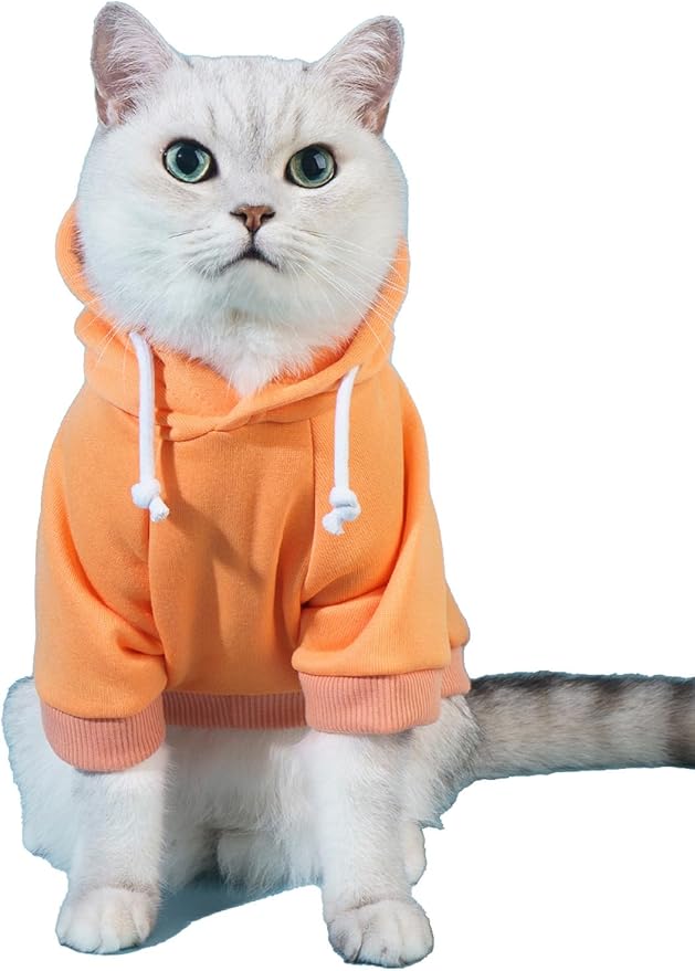 QWINEE Basic Dog Hoodie Sweatshirt Puppy Sweater Warm Cat Costumes Pet Clothes for Chihuahua Puppy Kitten Small Medium Dogs Orange X-Small