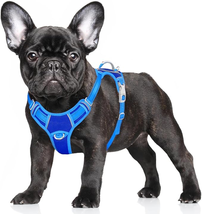 BARKBAY No Pull Dog Harness Large Reflective Dog Harness with Front Clip and Easy Control Handle for Walking Training Running with ID tag Pocket(Sapphire Blue & Blue,S)