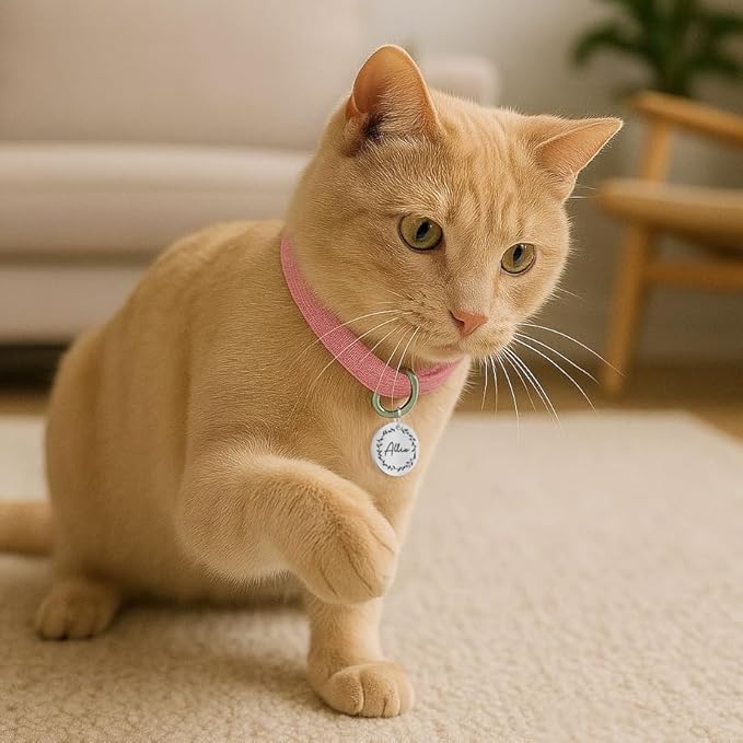 Ultra Joys Stainless Steel Pet ID Tag Dog Name Tags Personalized Front and Back Engraving, Customized Dog Tags and Cat Tag, Optional Engraved on Both Sides, Round Tag Vine Design 2, Silver Small