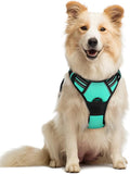 rabbitgoo Dog Harness No Pull with 2 Leash Clips, Adjustable Soft Padded, Reflective Oxford No Choke Pet Vest with Easy Control Handle for Medium Sized Dogs, Turquoise, M