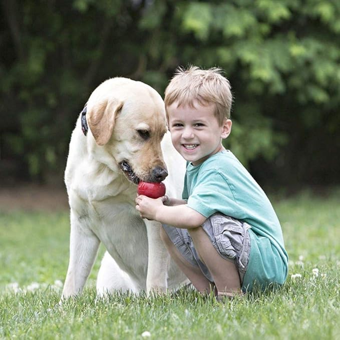 KONG Classic Stuffable Dog Toy - Fetch & Chew Toy for Dogs - Treat-Filling Capabilities & Erratic Bounce for Extended Play Time - Durable Natural Rubber Material - for Extra Small Dogs