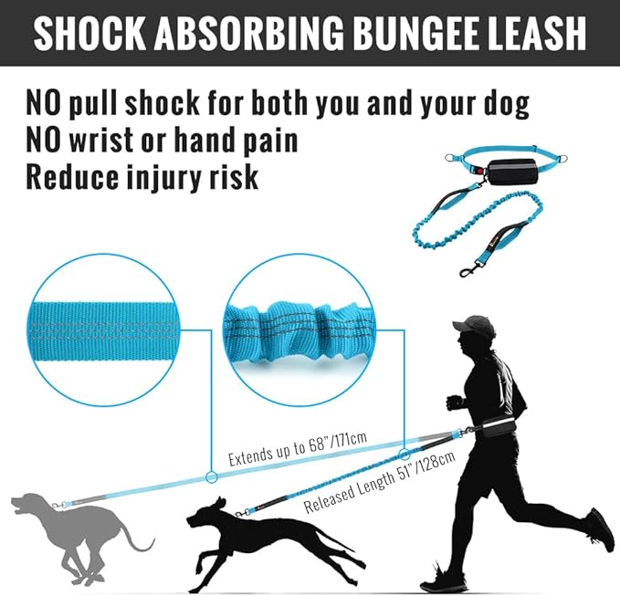 Plutus Pet Hands Free Dog Leash - Soft Padded Dual Handle Retractable Bungee With Reflective Stitches, Adjustable Waist for Walking Running Jogging, Medium Large Dogs