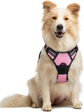 rabbitgoo Dog Harness No Pull with 2 Leash Clips, Adjustable Soft Padded, Reflective Oxford No Choke Pet Vest with Easy Control Handle for Medium Sized Dogs, Pink, M