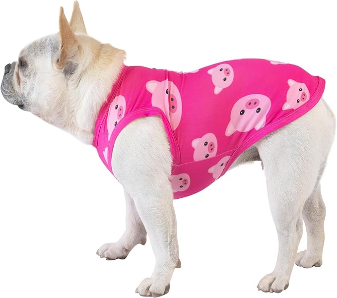 CuteBone Dog Shirts 2-Pack Soft Pet Clothes Breathable Summer Vest for Small Puppy and Stretchy Cat Apparel 2BX09XL
