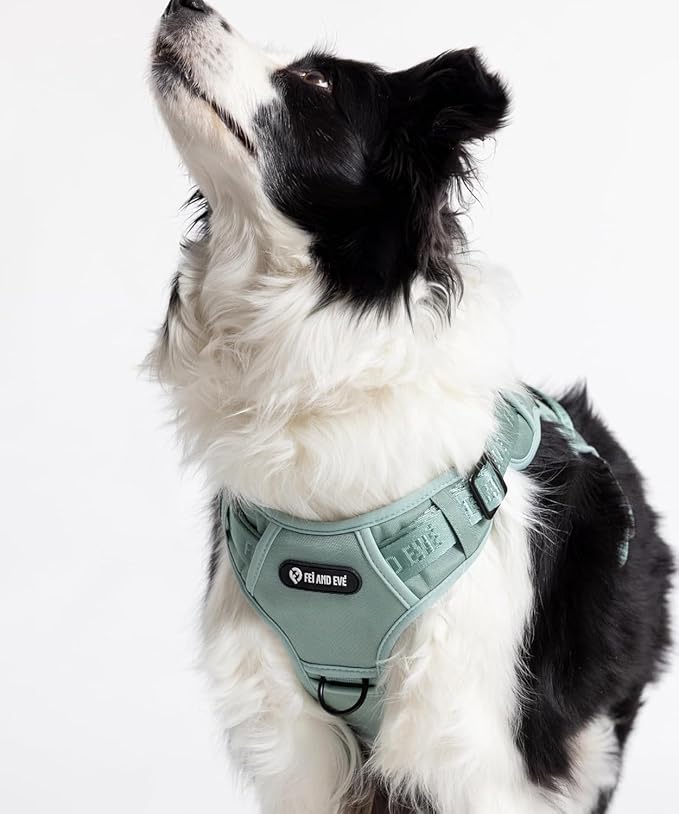 2025 New Edition, Fei & Eve MagEase Dog Harness - 3-Second Magnetic Buckles | 3-Point No-Pull Control | Heavy-Duty 900D Nylon | Dual Safety Handles | Breathable Mesh | Adjustable Fit | Small, Green