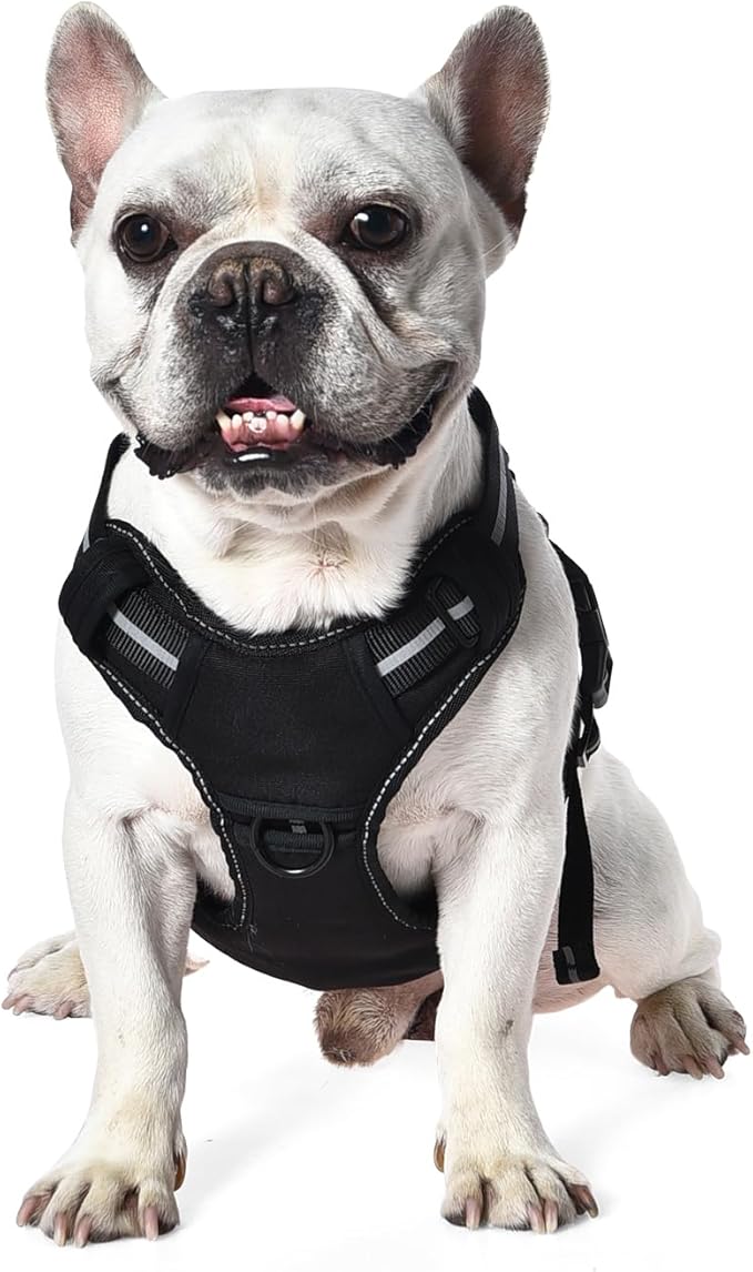 Amazon Basics No Pull Dog Harness, Adjustable Front Clip, Tactical Vest, Small, Black