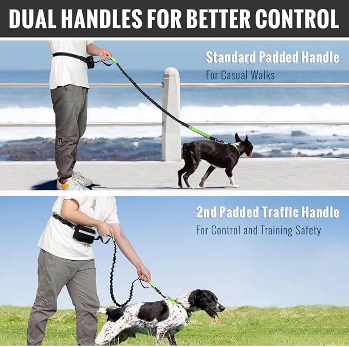 Plutus Pet Hands Free Dual Handle Retractable Bungee Leash with Reflective Stitches, Adjustable Waist Leash for Dog Walking, Running, Jogging, Medium Large Dogs