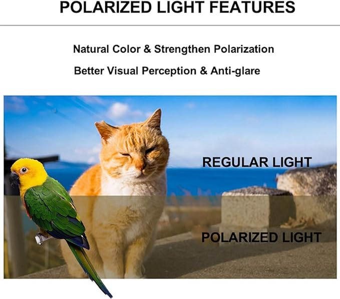 Bird Carrier Cage, Bird Travel Backpack Carrier with Metal Tray and Standing Perch, Tint Polarized Blue Space Capsule Astronaut Bubble Hard Window