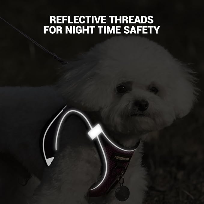 Dog Harness and Leash Set, Dog Harness for Dogs No Pull, No-Chock Step-in Reflective Breathable Lightweight Easy Walk Vest Harnesses with Safety Buckle for Small Dogs, Cats (Purple, S)