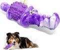 Squeaky Dog Chew Toys for Aggressive Chewers - Tough Crocodile Chew Toy for Small Medium Large Dogs, Dental Cleaning & Anxiety Relief, Boredom Buster (Purple)