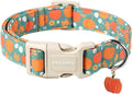 DOGWONG Fall Pumpkin Dog Collar- Cute Fall Holiday Dog Collars Adjustable Halloween Dog Collar for Small Medium Large Dogs M