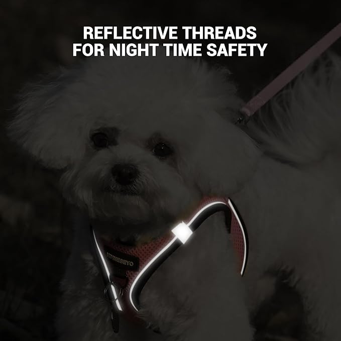 Dog Harness and Leash Set, Dog Harness for Dogs No Pull, No-Chock Step-in Reflective Breathable Lightweight Easy Walk Vest Harnesses with Safety Buckle for Small Medium Dogs, Cats (Pink, XXS)