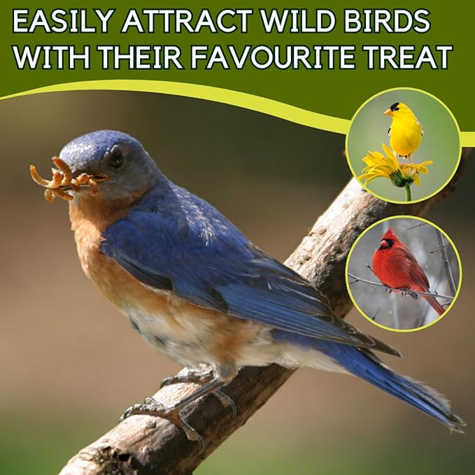 Dried Mealworms 100% Non-GMO 5 Lb - Mealworms for Birds, Chickens, Ducks - Perfect High-Protein Treats - Whole Large Meal Worms, Dried for Chickens and Bluebird Food Bulk