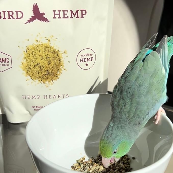 Hemp Well Organic Hemp Hearts for Birds - Reduces Feather Plucking, Promotes Relaxation, Immune Support, Organic, USA Grown, GMO Free – 8 Ounces