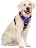 rabbitgoo Dog Harness No Pull with 2 Leash Clips, Adjustable Soft Padded, Reflective Oxford No Choke Pet Vest with Easy Control Handle for Large Dogs, Blue & Hot Pink, XL