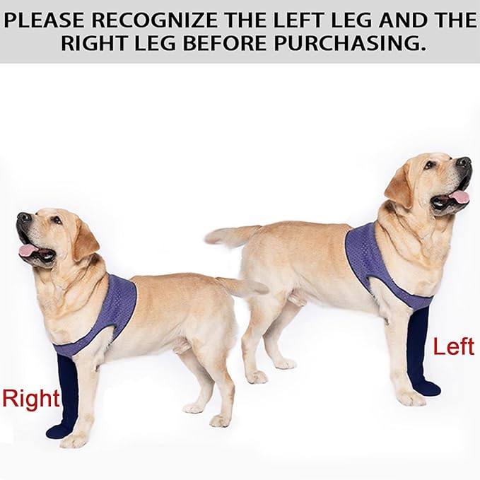 COODEO Dog Socks to Prevent Licking Paws, Healing Boots & Paw Protectors with Non-Slip Bottoms for Wound Protection, Waterproof Sleeve Shoes for Licking（Purple，M_Right