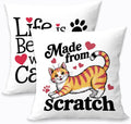 2 Pcs Abstract Cats Throw Pillow Cover, Crazy Cat Lady Gifts for Women Cat Decor, Square Decorative Throw Pillow Case for Couch Sofa Bed Bedroom Apartment Dorm Living Room Office Home Decor
