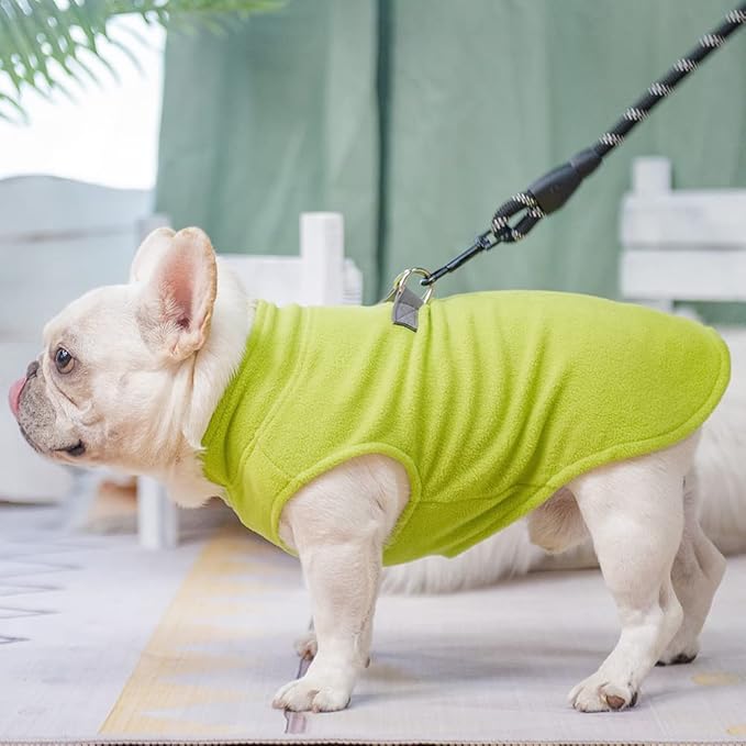 BEAUTYZOO Dog Fleece Vest Sweater Winter Jacket for Small and Medium Large Dogs with D-Ring Leash Cold Weather Coat Hoodie for XS S M Dogs Boy or Girls, Green S