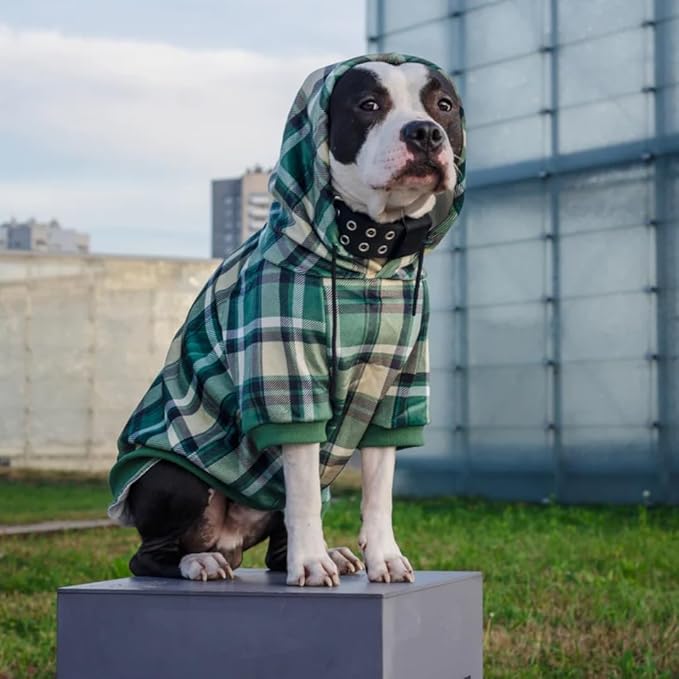 Spark Paws Dog Hoodie – Premium Dog Sweater for Small, Medium, and Large Dogs | Warm Outfits for French Bulldogs, Pitbull, Puppy, Winter Jacket Alternative - Green Plaid - 2XL