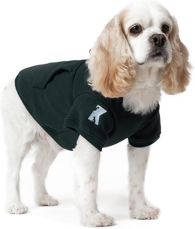 Koneseve Dog Hoodie Fleece Puppy Clothes Warm Sweater with Hat for Small Medium Dogs Cat Hooded Shirt Kitten Pet Basic Sweatshirt with Pocket Doggie Soft Winter Coat Apparel (Green; 2XL)