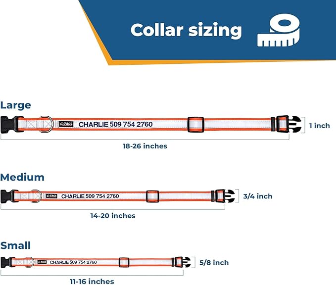 GoTags Reflective Personalized Dog Collar, Custom Embroidered Safety Collar with Pet Name and Phone Number for Boy and Girl Dogs, Small, Medium, and Large Adjustable Sizes (Small, Charcoal)