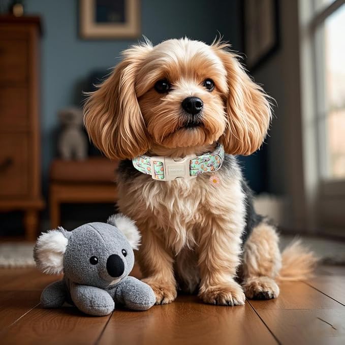 DOGWONG Summer Koala Dog Collar, Green Pink Flower Dog Collars, Adjustable Cute Pet Collars Boy Girl Design Dog Collar for Small Medium Large Dogs