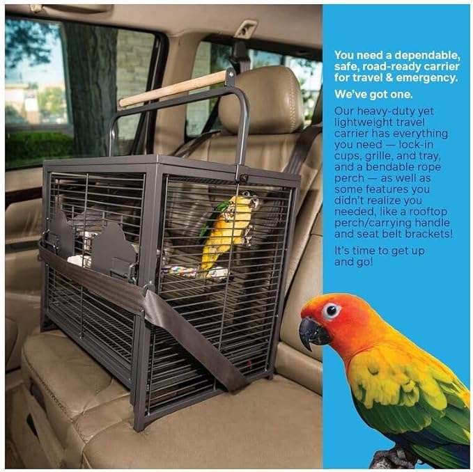 Artisanal Artistry Bird Cage with Handcrafted Design, Intricate Details, Spacious Interior for a Stylish and Comfortable Home Black/Small