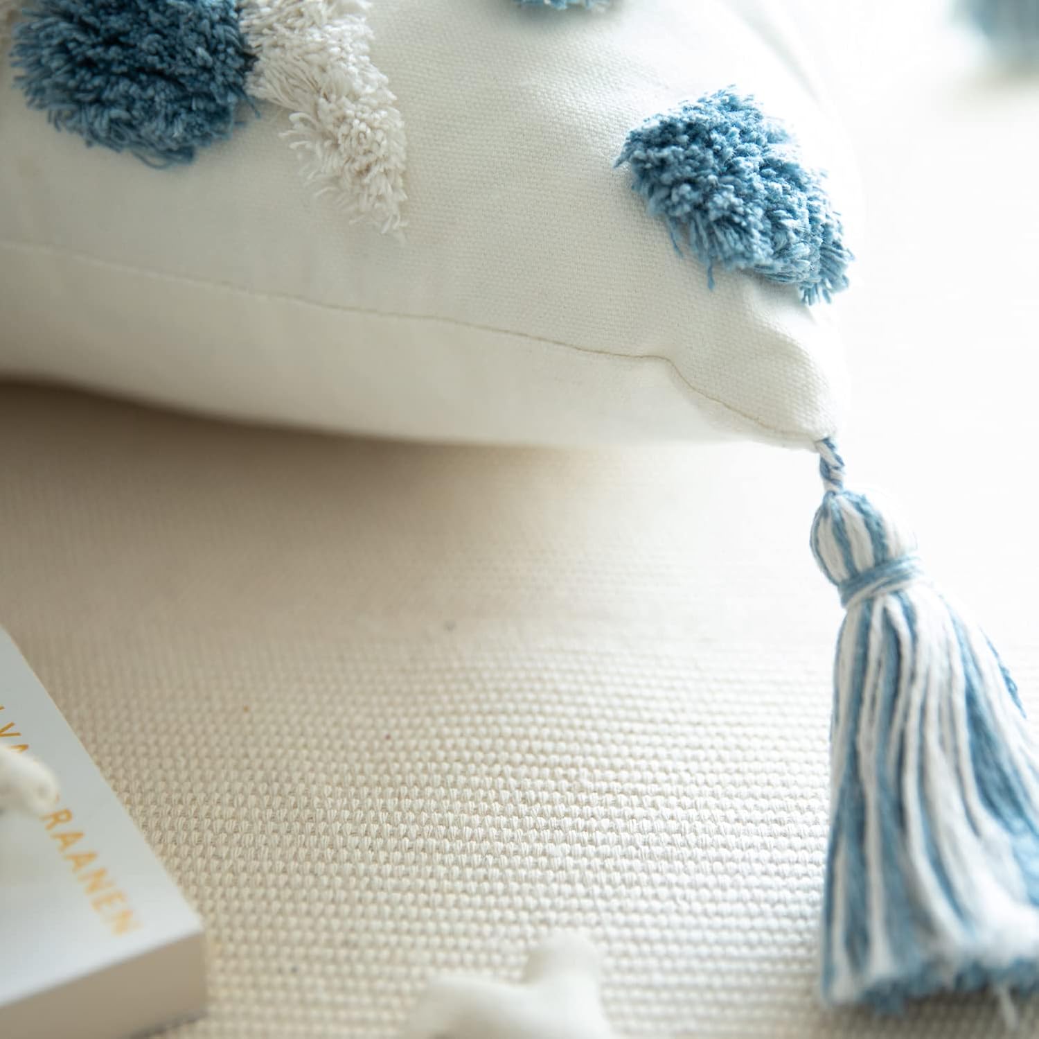 Set of 2 Cotton Woven Boho Throw Pillow Covers, Tufted Decorative Square Pillowcases Covers with Tassels for Couch Sofa Bed, Living Room Sofa, Farmhouse, 22x22 Inch Blue(2 pcs)