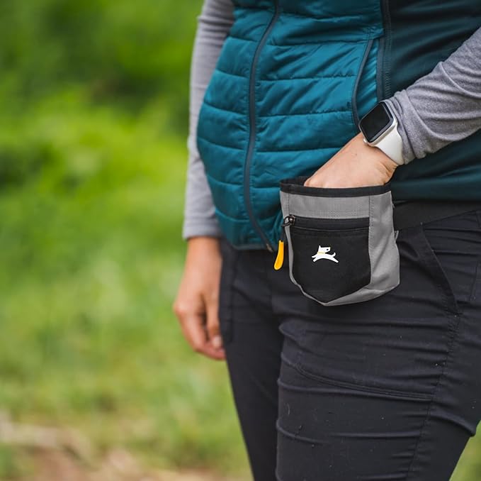 OllyDog Goodie Treat Bag, Dog Treat Pouch, Waist Belt Clip for Hands-Free Training, Magnetic Closure, Dog Training and Behavior Aids, Three Ways to Wear (Wet Weather)