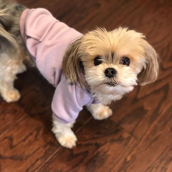 Jecikelon Winter Dog Hoodie Sweatshirts with Pockets Warm Dog Clothes for Small Dogs Chihuahua Coat Clothing Puppy Cat Custume (Purple, X-Small)