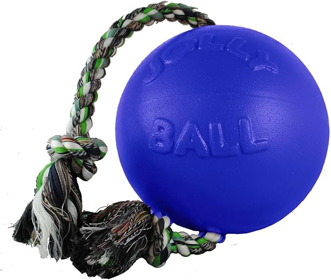 Jolly Pets Romp-n-Roll Rope and Ball Dog Toy, 4.5 Inches/Small, Blueberry for All Breed Sizes