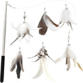 SONGWAY Cat Feather Wand - 7 Pcs Interactive Toys for Indoor Kitten, Retractable Wand With 6 Natural Feather Refills and Bell, Fishing Pole Toy
