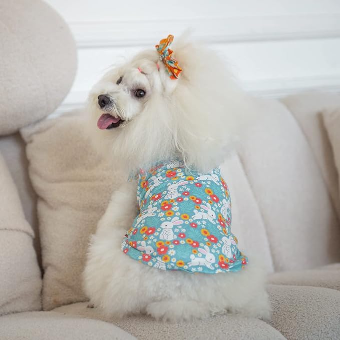 CuteBone Dog Shirts 2-Pack St.Patrick's Day & Easter Soft Pet Clothes Breathable Summer Vest for Small Puppy and Stretchy Cat Apparel 2BX12S