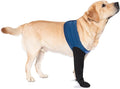 COODEO Dog Socks to Prevent Licking Paws, Healing Boots & Paw Protectors with Non-Slip Bottoms for Wound Protection, Waterproof Sleeve Shoes for Licking（Blue，L_Right