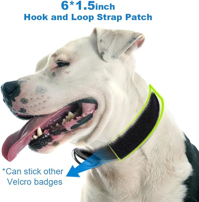 TSPRO Tactical Dog Collar, Adjustable, with Patch & Double Needle Metal Buckle, Heavy Duty for Medium to Large Dogs, Durable for Walking, Running, Hiking & Training (Khaki M+)