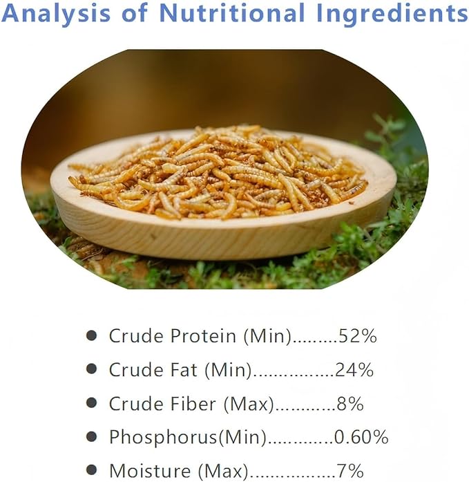 20oz Dried Mealworms – High Protein, All Natural Non-GMO Treats for Chickens,Birds,Reptiles