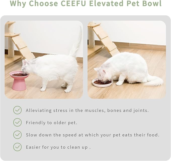 2 Elevated Cat Bowls Extra Wide for Food & Water – Whisker Fatigue, Ceramic Wide Shallow Food Dish, Lead & Cadmium Free, Raised Height for Cats, Pink