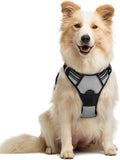 rabbitgoo Dog Harness No Pull with 2 Leash Clips, Adjustable Soft Padded, Reflective Oxford No Choke Pet Vest with Easy Control Handle for Medium Sized Dogs, Grey, M