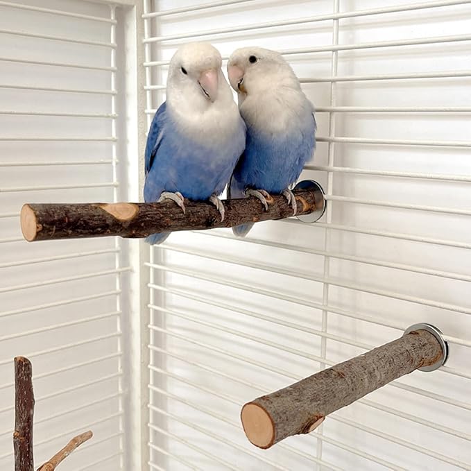 4PCS Natural Wood Bird Perches for Cage, Parrot Cage Perch Stand, Cage Accessories, Wooden Platform for Birds, Toys for Parakeets, Cockatiel, Budgie, Conure