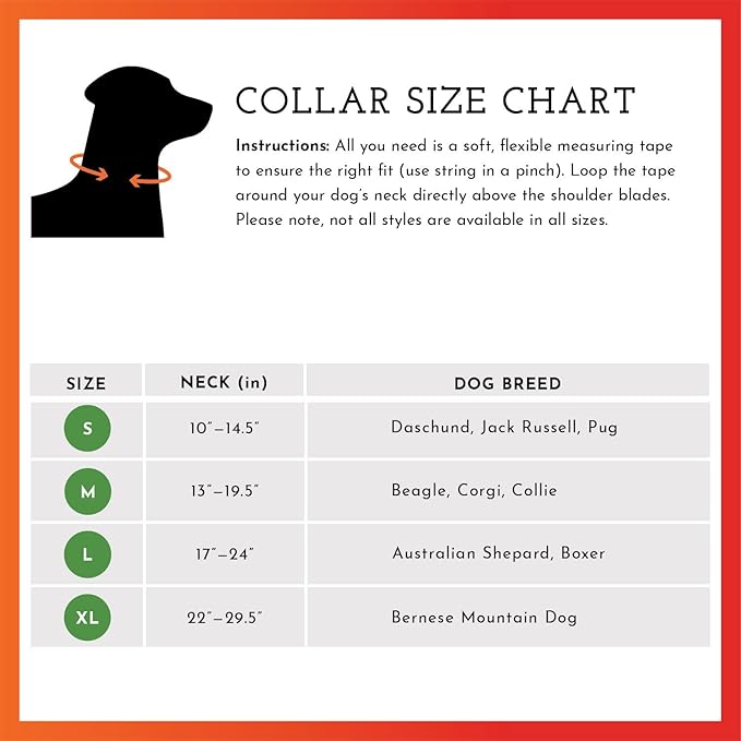 SPOT THE DOG! Reflective Dog Collar - Adjustable Pet Collars, Safe, Durable, Comfortable Dog Walking Accessories for Large Dog, Hunting Dog, Puppy, Lightweight Boy, Girl Dog Collars (Neon Yellow, L)