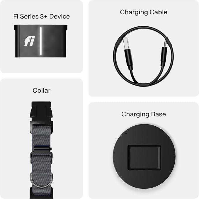 New Fi Series 3+ Smart Dog Tracker Collar [12 Month Membership Included] GPS Tracker for Dogs with Health & Behavior Monitoring, Escape Alerts, Waterproof, LED, Apple Watch Compatible (Gray, Large)