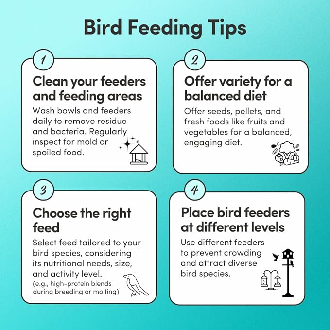 Mycelium Premium Macaw and Cockatoo Plus | High in Protein & Fat | Clean & Safe Food for Pet Birds | Seed Mix with Egg, Corn, Vitamins, Peanuts & Hemp Hearts | Organic & Non-GMO 5 lb Bag