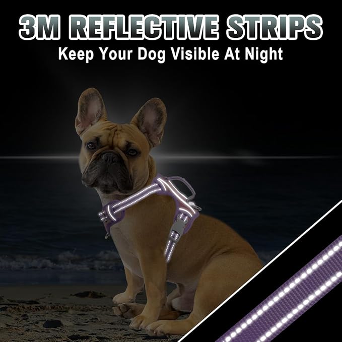 BARKBAY No Pull Dog Harness Large Reflective Dog Harness with Front Clip and Easy Control Handle for Walking Training Running with ID tag Pocket(Baby Pink & Violet Purple,S)