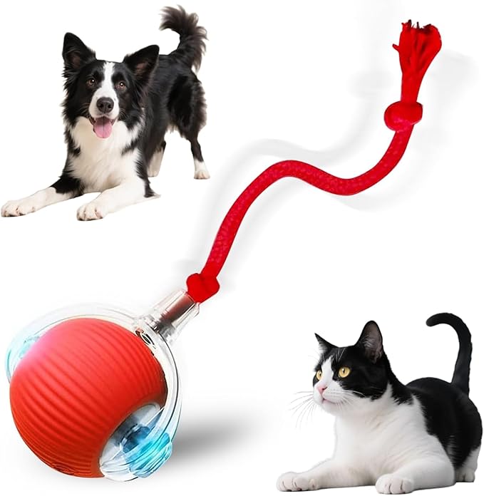 Durable Interactive Cat Toys for Indoor Cats, Smart Automatic Cat Chase Ball Toy, Upgraded Speedy Tail Kitten Toy for Bored Indoor Adult Pets (Red)