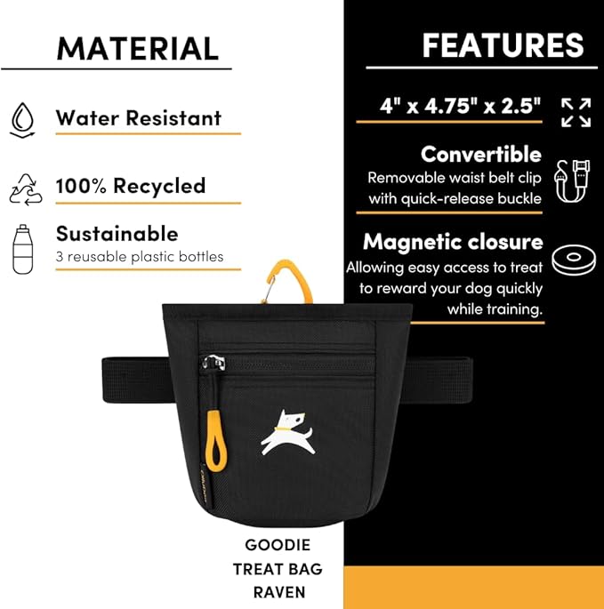 OllyDog Goodie Treat Bag, Dog Treat Pouch, Waist Belt Clip for Hands-Free Training, Magnetic Closure, Dog Training and Behavior Aids, Three Ways to Wear (Raven S'25)