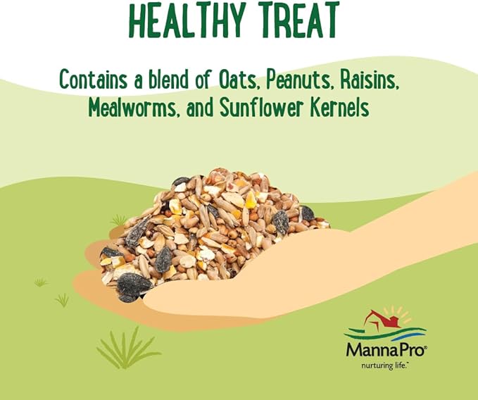 Manna Pro Farmhouse Favorites Oat & Mealworm Mix Poultry Treat – Natural Protein Source – Encouraging Poultry Treat – Mix of Oats, Peanuts, Raisins, Mealworms, Sunflower Kernels – 2lbs