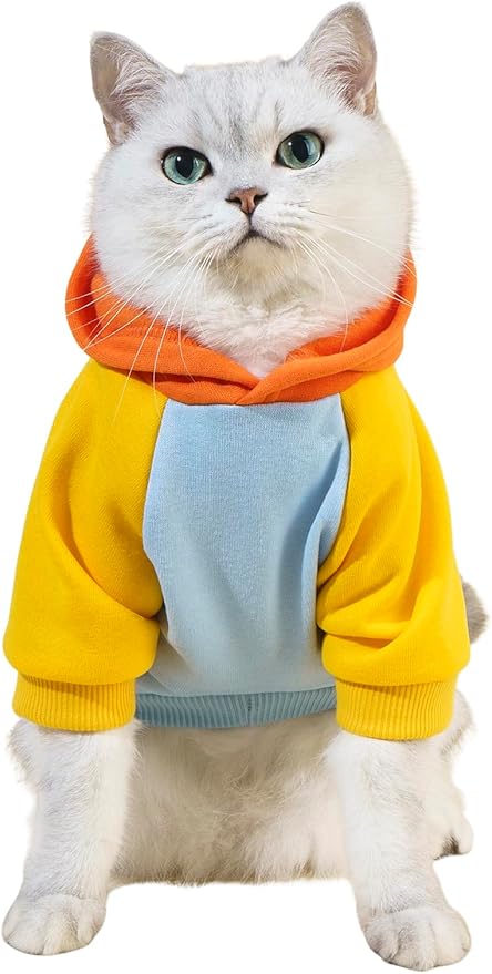 QWINEE Basic Dog Hoodie Sweatshirt Puppy Sweater Warm Cat Costumes Pet Clothes for Chihuahua Puppy Kitten Small Medium Dogs Orange and Blue Small